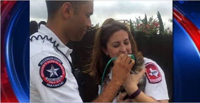 WATCH: Paramedics Save Kittens!