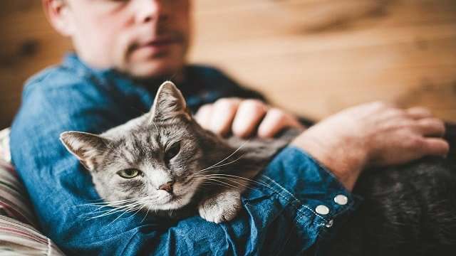 20 Reasons To Be Thankful For Our Cats This Thanksgiving (And Every Day)!