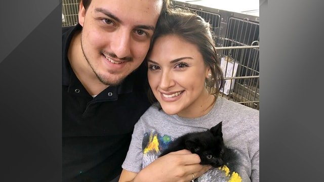 New York Couple Sees Post For “Urgent’ Black Kitten In Florida No One Wanted – Get Your Tissues Ready!