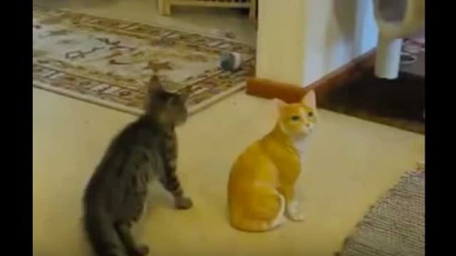 Protective Cat Has Vicious Fight With Fake Cat!