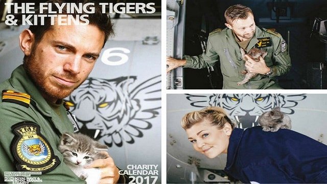 Hot Pilots and Adorable Kittens Star in Charity Calendar!