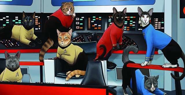 Star Trek Cats – What Else Needs to Be Said?