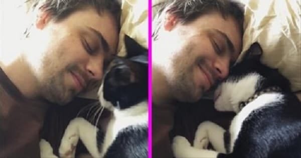 Sweet Kitty Waking Up His Human With Loving Kisses & Head Bonks!