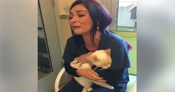 Woman’s Emotional Reunion with Her Lost Cat – And Then Her Kids Arrive …