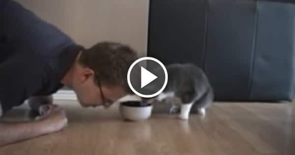 Man Pretends To Eat Cat’s Food – And The Cat’s Response is Priceless!
