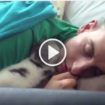 Precious Moment Between Fluffy Kitten and Her Human Cat Dad!