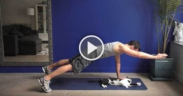 Trying to Exercise with Cats Around – This Clip Will Make You Smile!