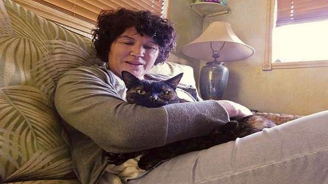 Cat Who Was Lost in Paradise, Returns Home 15 …