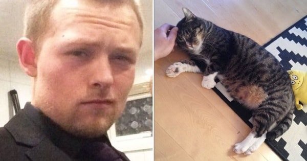 Owner Caught Between Crying and Laughing After Cat Missing For 9 Years …