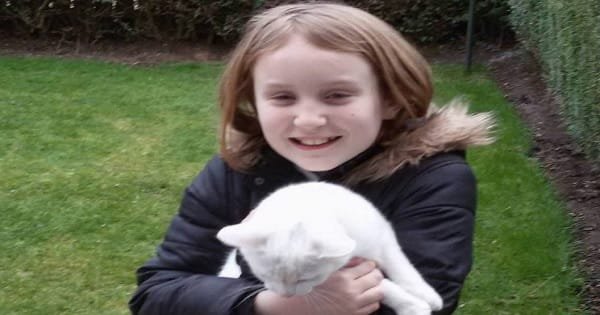 Cat Saves Entire Family’s Life After Noticing ‘Something’ Had Been Left On!