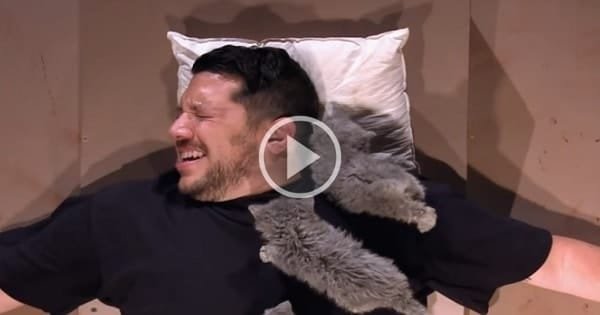Sal, Man Who Is Afraid Of Cats, Is Tied Down And …