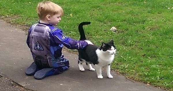 Young Boy Tried To Befriend Neighbor’s Cat For One Year, Then One Day He Made It