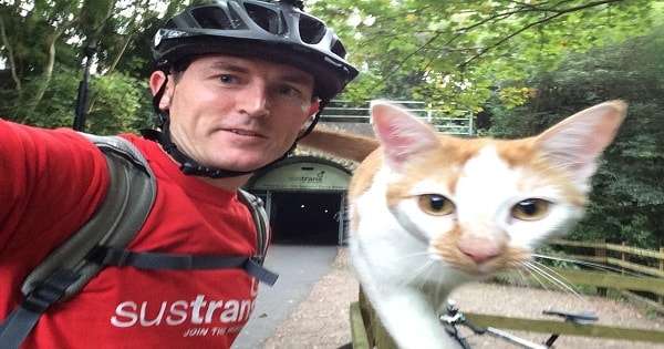 Friendly Cat Approaches Cyclist In The Most Adorable Way