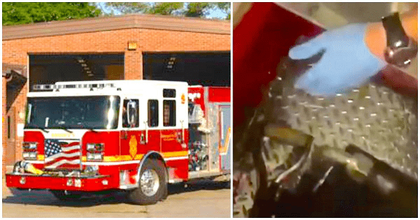 Firefighters Hear Strange Cries Coming From Fire Truck. Then Reach In And Pull Out …