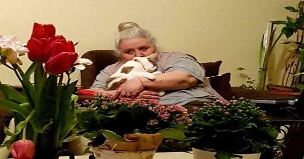 Cat With No Tail Insists On Being With Sad Grandma Who Never Liked Cats, But Then …