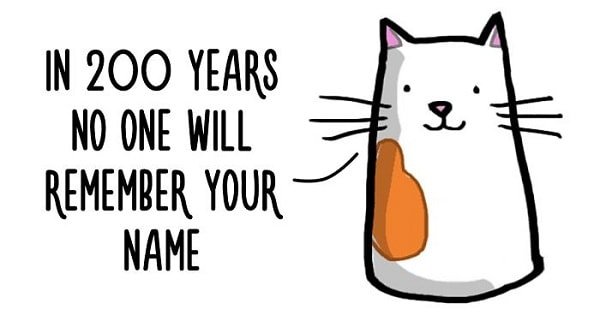 10+ Brutal Life Truths Explained By Cute Cats Will Give You Mixed Feelings