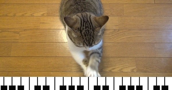 And This is How I Play The Piano