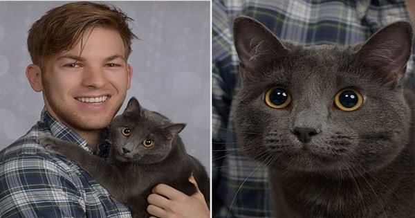 Man Simply Wanted Nice Pictures Of Him And His Cat, But He Never Expected THIS …