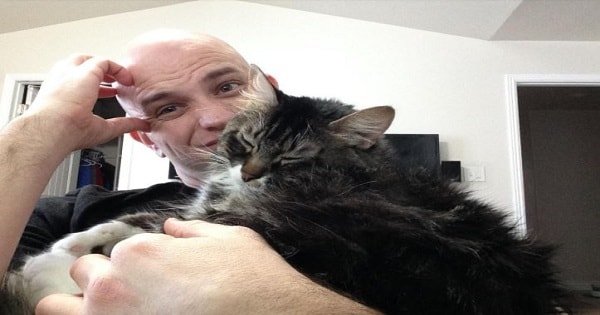 His Ex Said They Could Get Back Together – On One Condition. The Cat Goes …