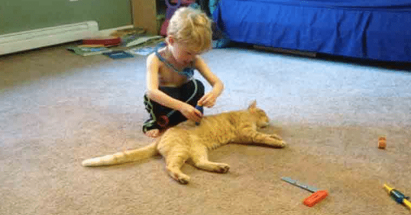 Family Adopted A Stray Cat And What His New, Little Human Did Will Amaze You!