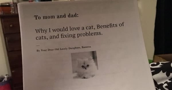 Child Writes A Six Page Report To Her Parents About Why They Should Adopt A Cat