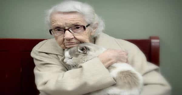 20+ Of The Oldest Kitty Cats Adopted By People With Some Of The Biggest Hearts