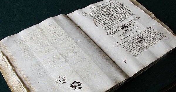 2000-Year-Old Paw Print Proving Cats Never Cared About Your Stuff