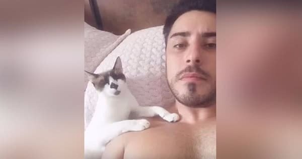 Man Was Watching TV But His Kitty Had Something Special To Say