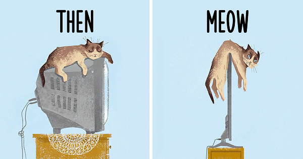 Then vs Meow: How Technology Has Truly Changed Cats’ Lives