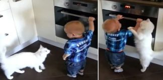 Caring Cat Stops Baby From Opening Oven