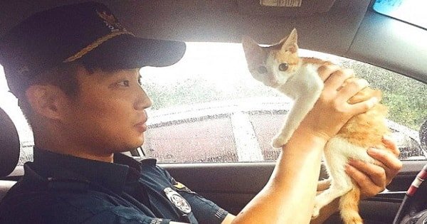 Policeman Rescues Dying Kitten From Sewer And Then Does Something Amazing!