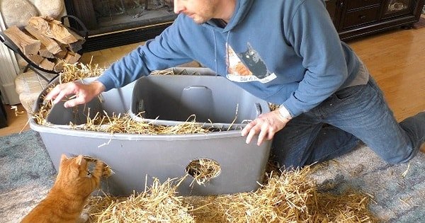 How-to Create Your Wintertime Outdoor Cat Shelters
