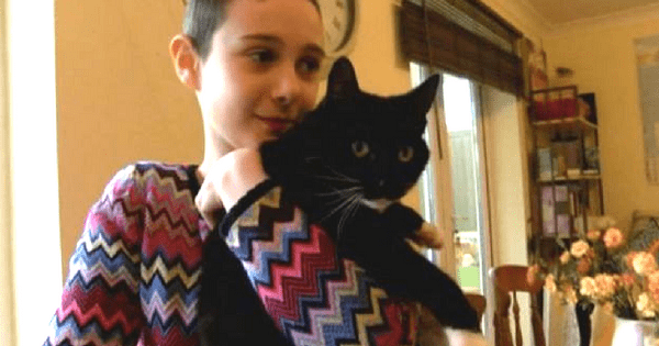 This Is Genie – The ‘Cat Of The Year’ Who Helped An 11-Year-Old Girl Beat Cancer!