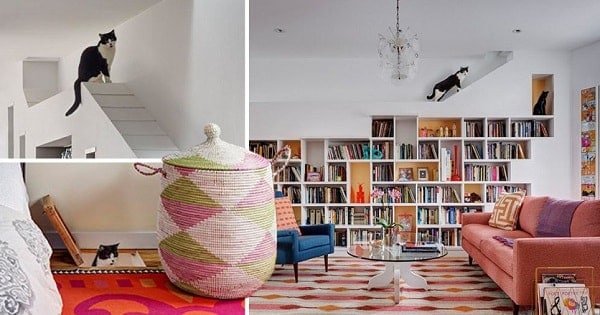 One Couple Redesigned Their Home To Make It The Purr-fect Place For Books … AND CATS!