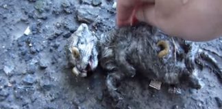 This Poor Baby Was Abandoned By Her Mother, But What This Man Does Is Just Unbelievable