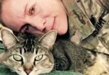 This Soldier And Kitty Have Been Inseparable For The Last 4 Years