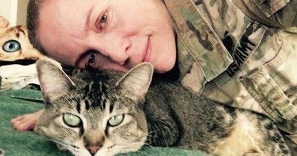 This Soldier And Kitty Have Been Inseparable For The Last 4 Years
