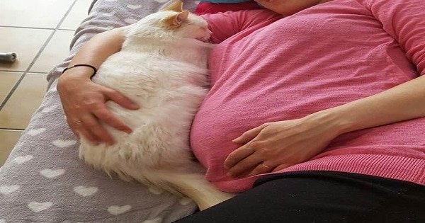Cat Began Cuddling Baby Sister Before She was Even Born!