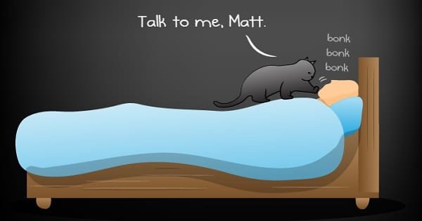 Illustrations Perfectly Describe The Moment Cats Want To Spend Time With Us!