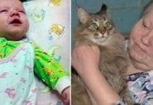 Heroic Cat Saves Life Of Abandoned Baby About To Die