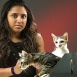 People Who Hate Cats Meet Kittens. Their Final Thoughts?