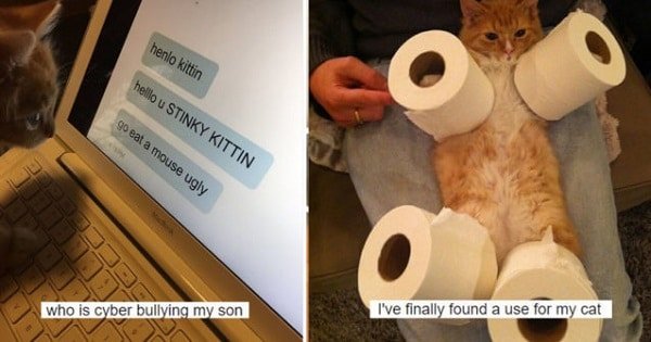10 Hilarious Cat Tweets That Will Make Leave You Laughing On The Floor