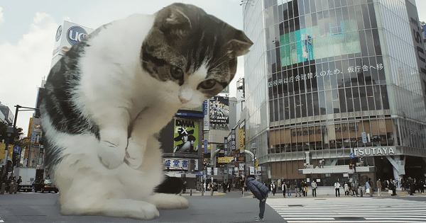 This Guy Photoshops Cats Into Giants And The Result Is Meow-nificent