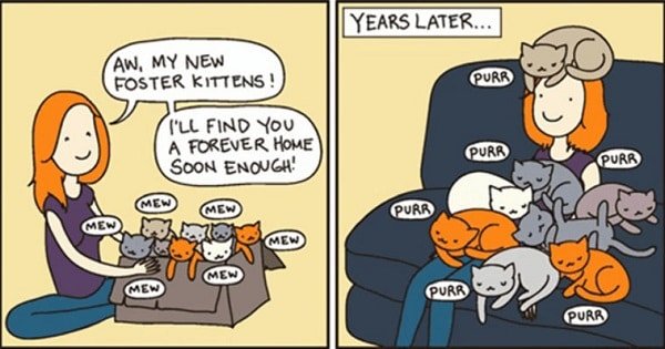 These 10 Hilarious Cat Comics Will Definitely Make Your Day!