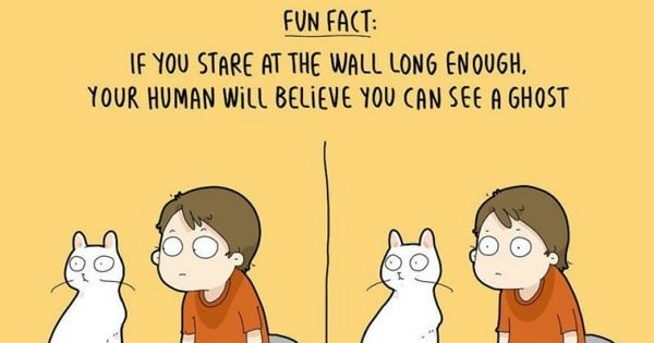 This Artist Creates Unique Illustrations Which Perfectly Depict The Life Of Cat Owners