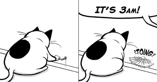 This Great Comic About Cats Is Perfectly Accurate!