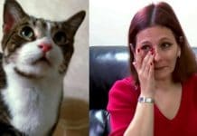 This Cat Refused To Let Her Owner Sleep And There Was A Terrifying Reason Behind It!
