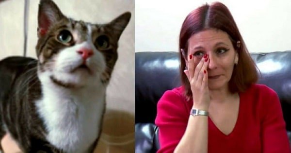 This Cat Refused To Let Her Owner Sleep And There Was A Terrifying Reason Behind It!