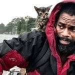 Kitten clings for life as man awaits rescue from Florence. The cat’s name says it all!