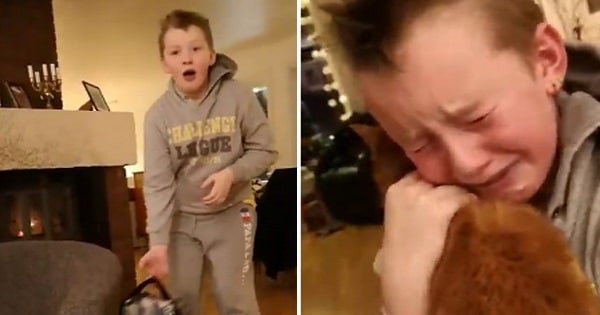 Boy Reunites With His Cat That Was Missing For 7 Months